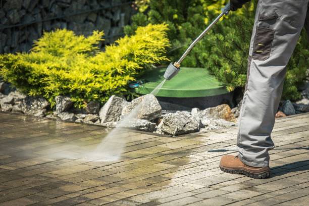 Best Fence Cleaning and Maintenance in Sheridan, IL